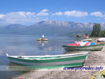 Pogradec Beach